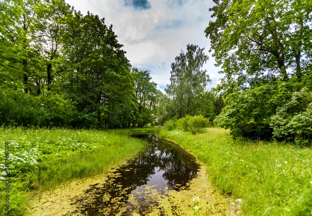 Fototapeta premium Summer landscape in a city Park with trees, grass, river, sky with clouds