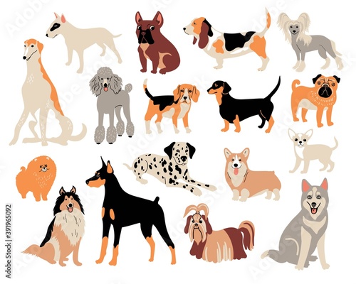 Vector cartoon dog breeds. Cute doodle illustration. Set of different dogs character