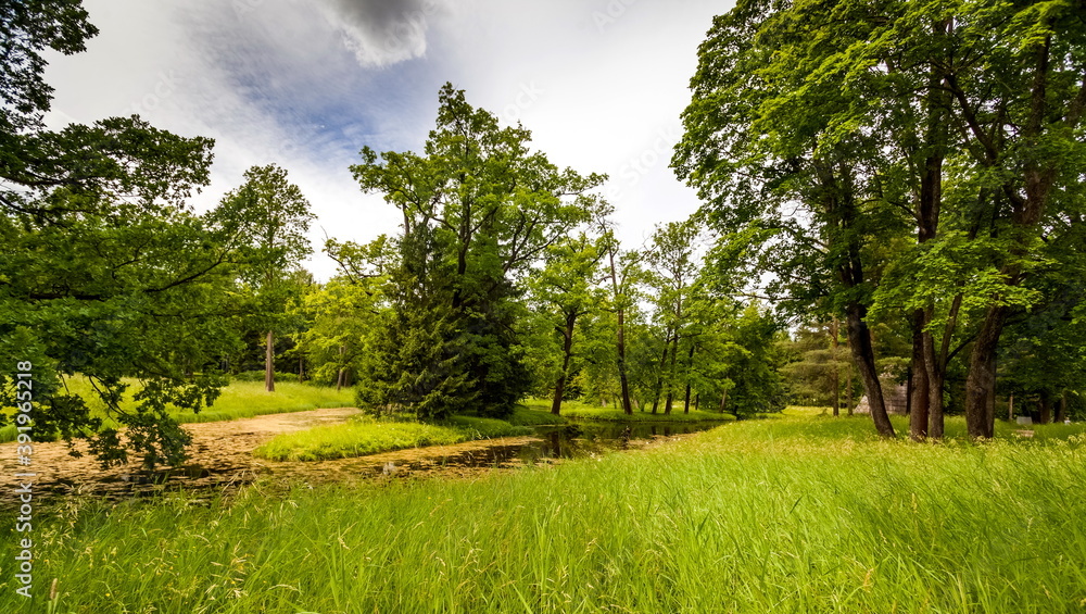 Summer landscape in a city Park with trees, grass, river, sky with clouds Summer landscape in a city Park with trees, grass, river, sky with clouds