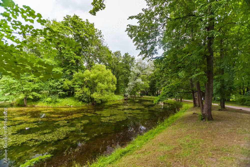 Summer landscape in a city Park with trees, grass, river, sky with clouds Summer landscape in a city Park with trees, grass, river, sky with clouds