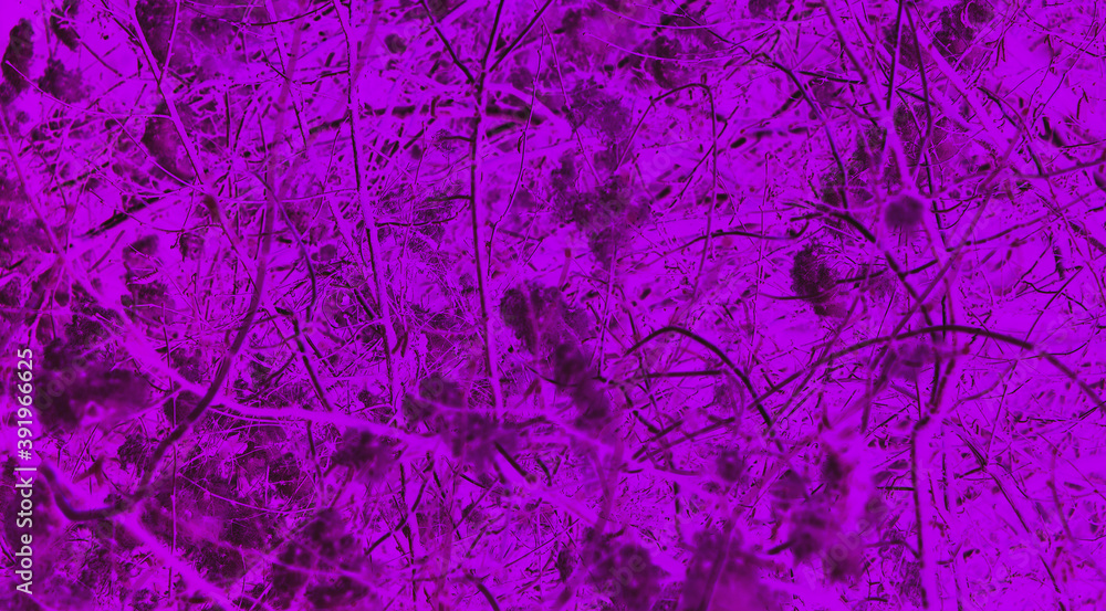 Surface, wallpaper, background like neurons.
