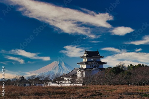 関宿城と早春の富士