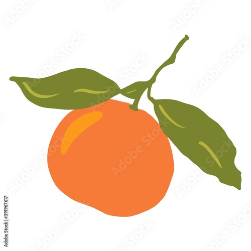 Bright ripe tangerine on a twig with two leaves on a white background. Flat vector illustration of orange citrus. Isolated object close-up in color for your design.