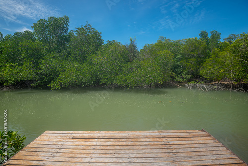 Wooden pier with view to tropical water at mangrove forest