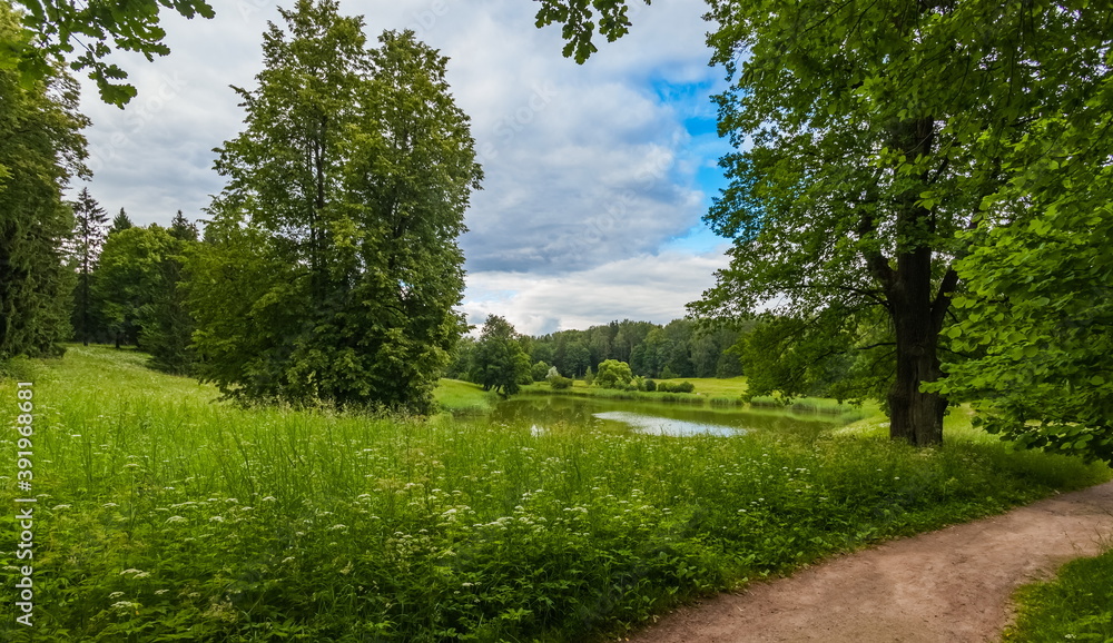 Summer landscape in a city Park with trees, grass, river, sky with clouds
