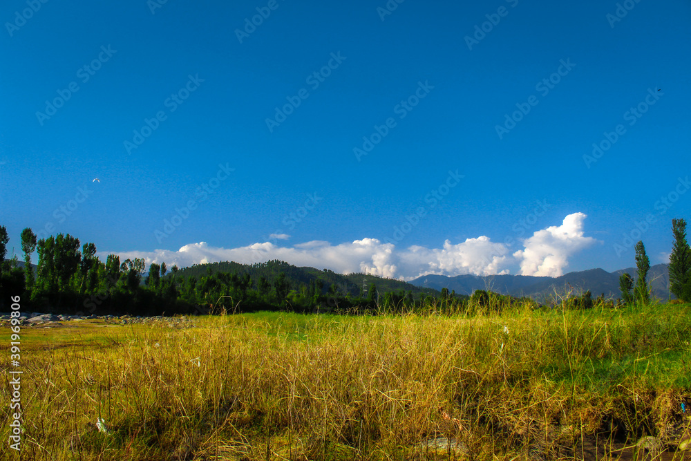 Obraz premium landscape with sky and clouds