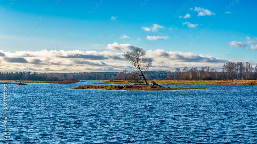 Fototapeta premium An island on a river or lake with a lone tree without leaves. Calming autumn landscape.