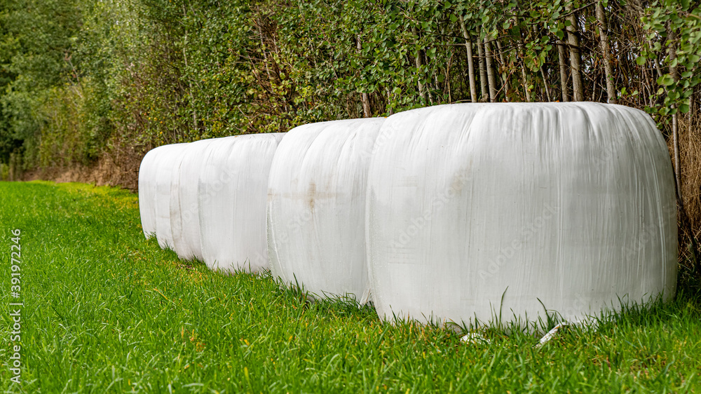 Einige in weißer Folie verpackte Heuballen