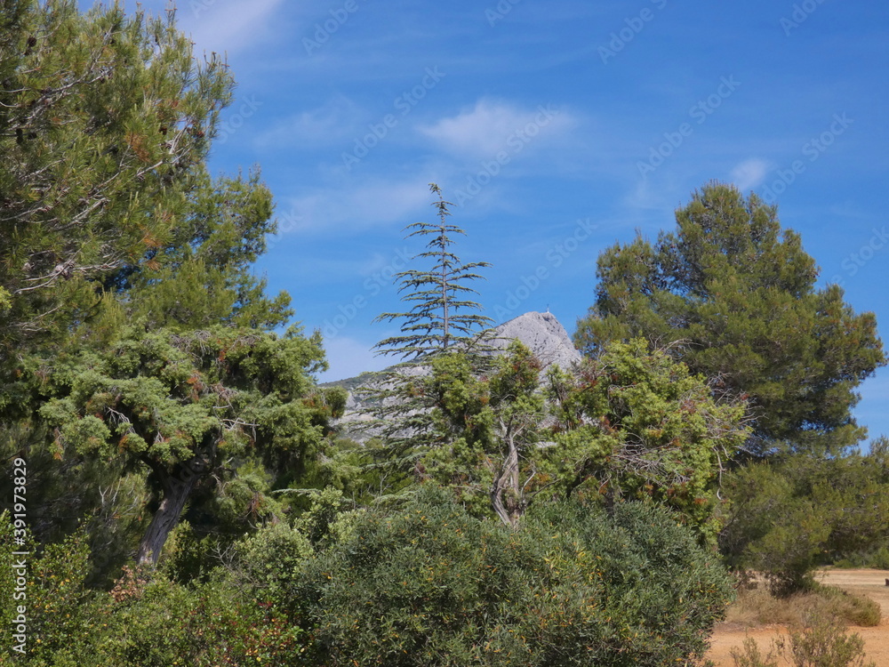 Obraz premium Magnificent landscape with the beauty of the nature of Provence near Aix en Provence and the Sainte-Victoire mountain in the background