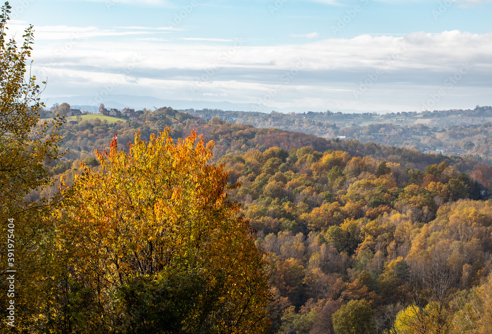 Trees with golden autumn foliage in sunny day. Colorful autumn landscape. Trees with golden autumn foliage in sunny day. Colorful autumn landscape.