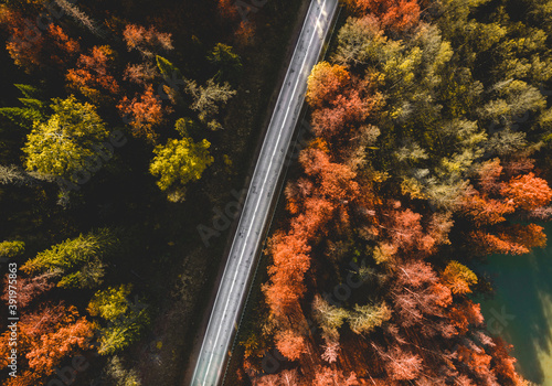 View from above. Narrow highway among trees in autumn colorful forest