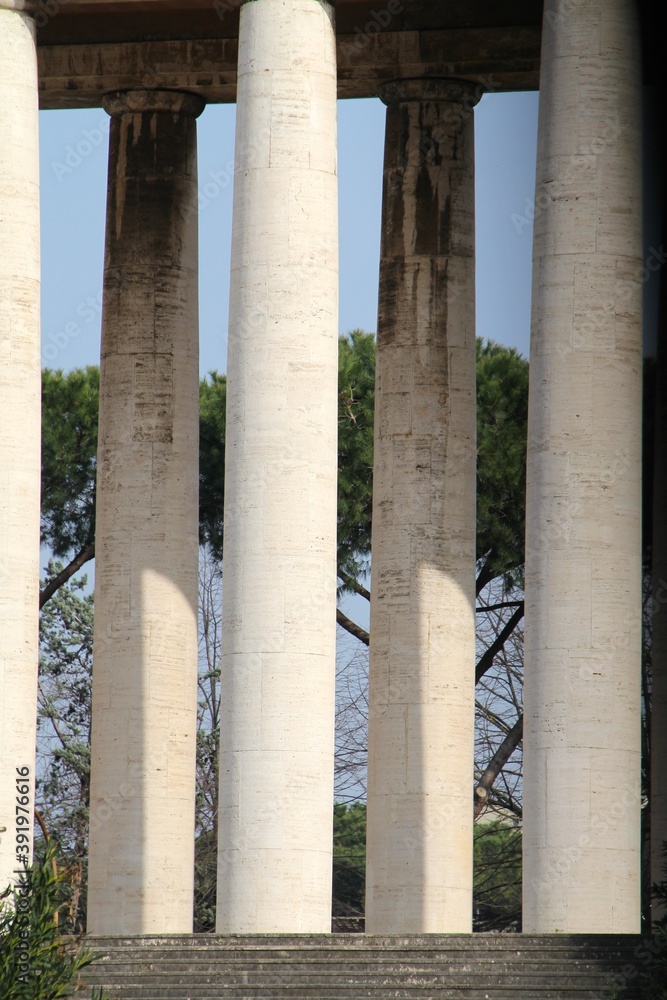 columns in the roman forum city columns in the roman forum city