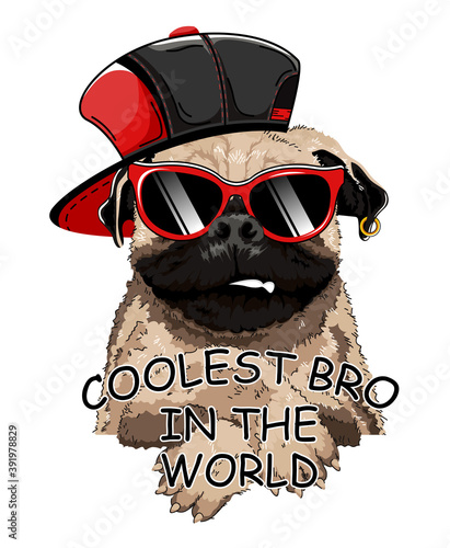 Coolest bro slogan with cartoon dog. French bulldog. Print design. Vector illustration EPS10