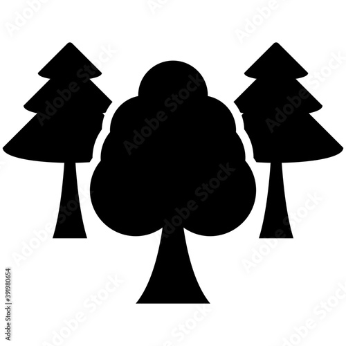 
A copse palm trees or beach trees
