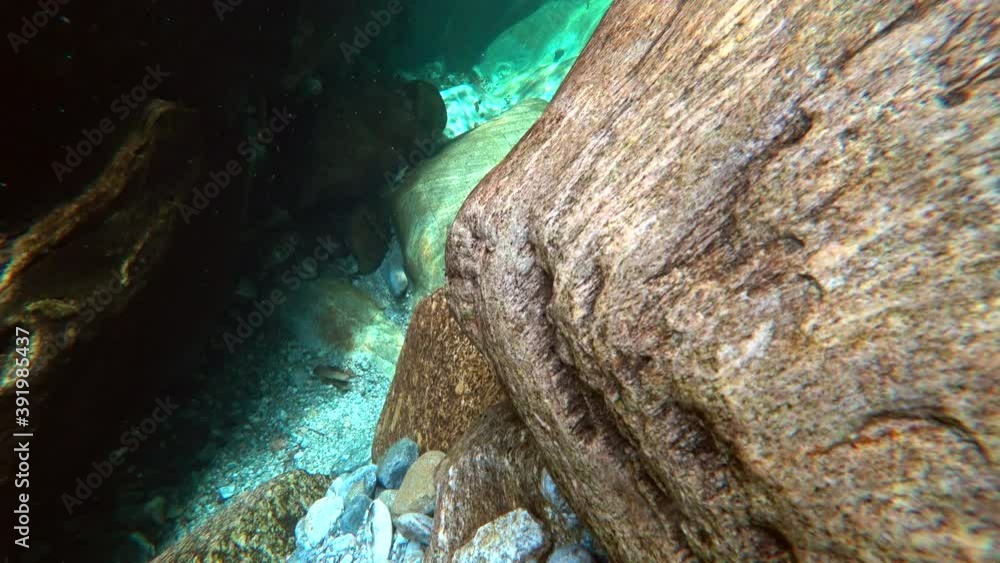Closeup underwater smooth rock.. Fast flowing waters of mountain pure river and green seaweed on smooth rock under transparent water. Wilderness nature. Closeup underwater smooth rock.. Fast flowing waters of mountain pure river and green seaweed on smooth rock under transparent water. Wilderness nature.