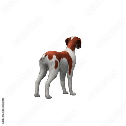 Farm animals - brittany dog - isolated on white background - 3D illustration