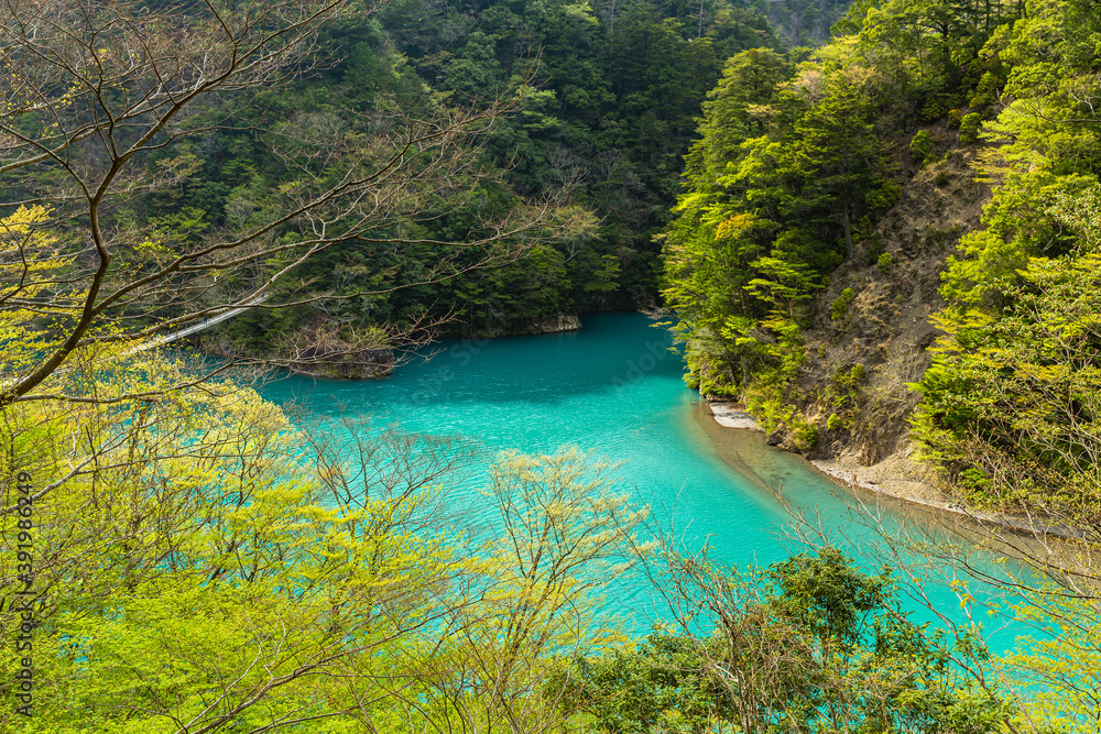 Obraz premium 日本 静岡県川根本町、寸又峡の景色