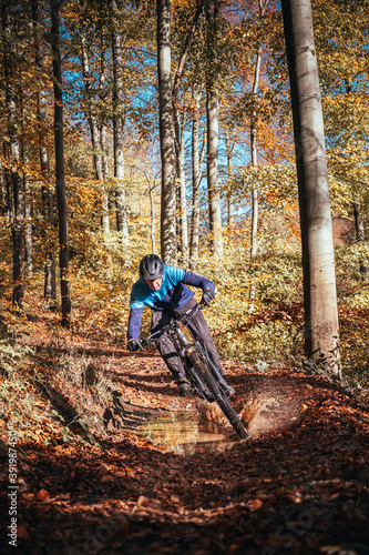 Mountain biker riding in autumnal forest in Hampshire, England 