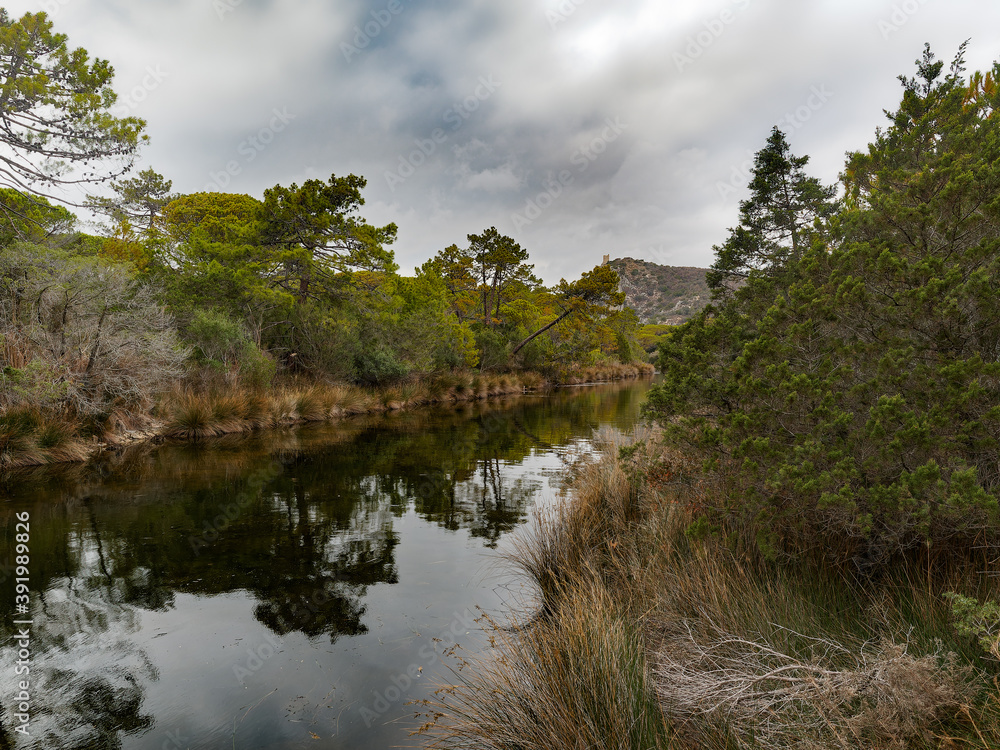 Φωτογραφία Landscapes in the Uccellina Natural Park in Maremma Grosseto Tuscany Italy
