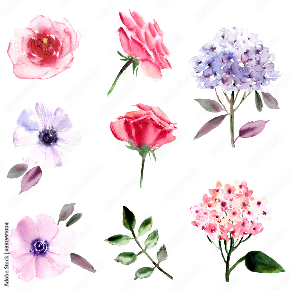 Hand drawn watercolor flowers set.