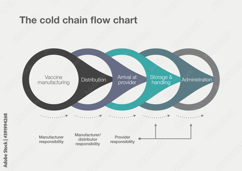 The cold chain flow chart for vaccine distribution Stock Illustration ...