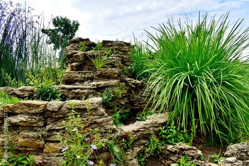 Grass and flowers on a stone wall in the botanical garden