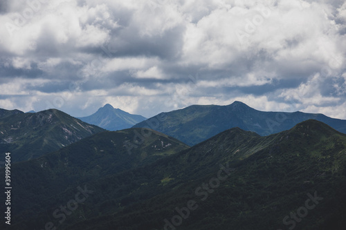 Fototapeta Naklejka Na Ścianę i Meble -  Beautiful summer views of blooming alpine meadows of Caucasus mountains