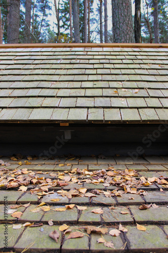 Layered roof made of wooden shingles. Shingle roof covered with dry leaves. © Olga Save