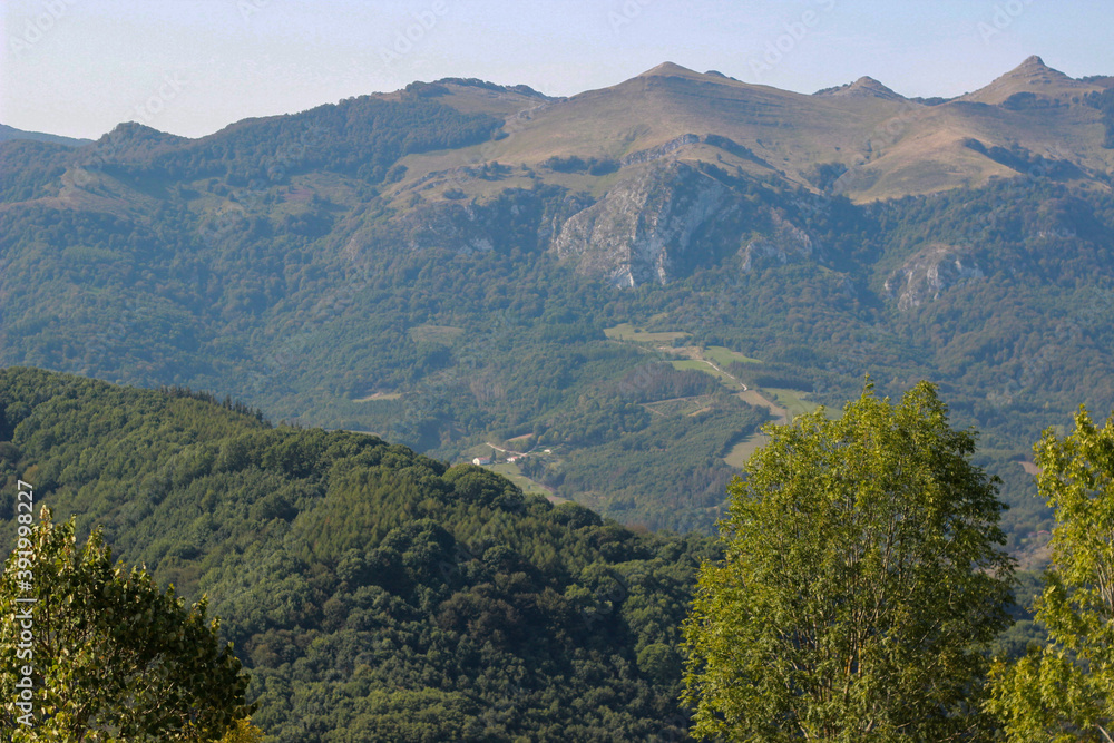 Fototapeta premium landscape with mountains