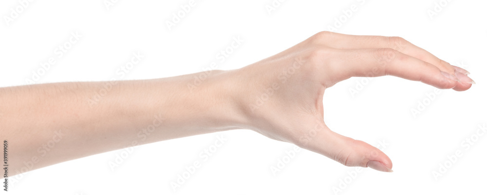 Female caucasian hands isolated white background showing different gestures. woman hands showing gesture holds something or takes, gives, points Female caucasian hands isolated white background showing different gestures. woman hands showing gesture holds something or takes, gives, points