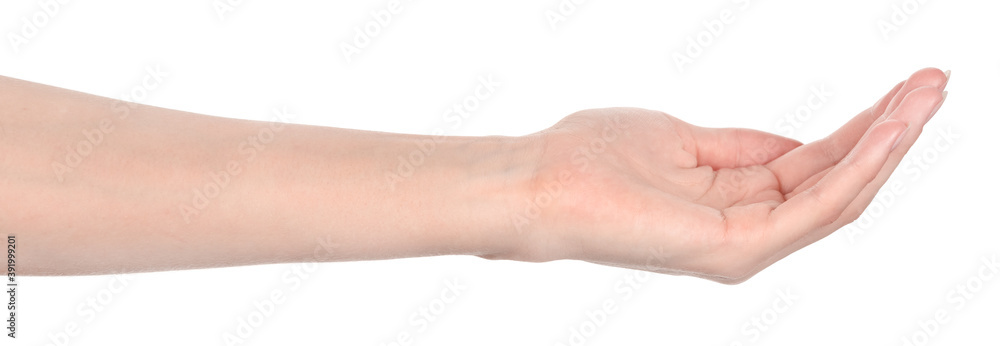 Female caucasian hands isolated white background showing different gestures. woman hands showing gesture holds something or takes, gives, points Female caucasian hands isolated white background showing different gestures. woman hands showing gesture holds something or takes, gives, points
