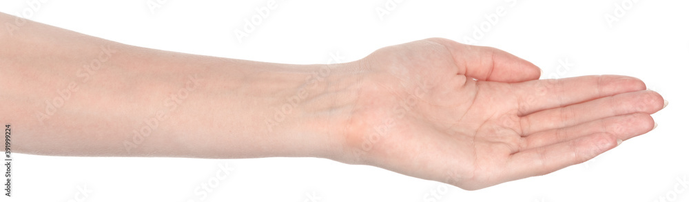Female caucasian hands isolated white background showing different gestures. woman hands showing gesture holds something or takes, gives, points Female caucasian hands isolated white background showing different gestures. woman hands showing gesture holds something or takes, gives, points