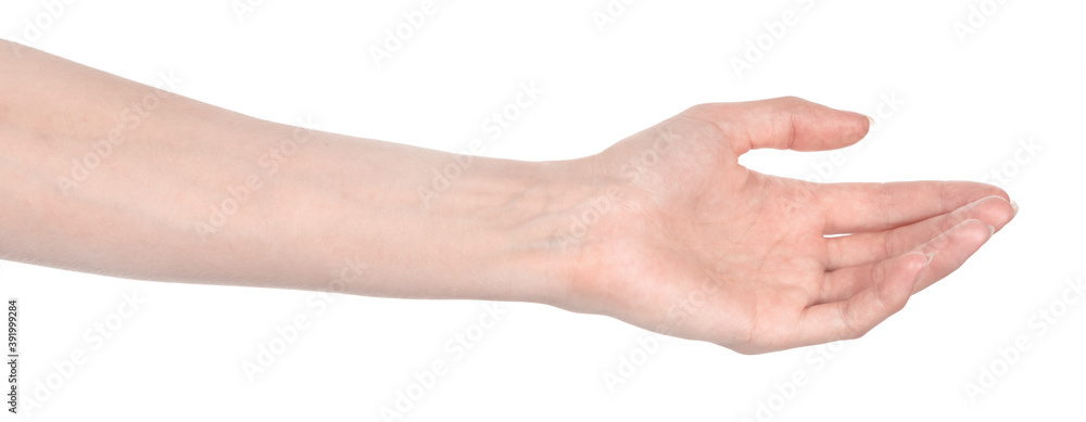 Female caucasian hands isolated white background showing different gestures. woman hands showing gesture holds something or takes, gives, points Female caucasian hands isolated white background showing different gestures. woman hands showing gesture holds something or takes, gives, points