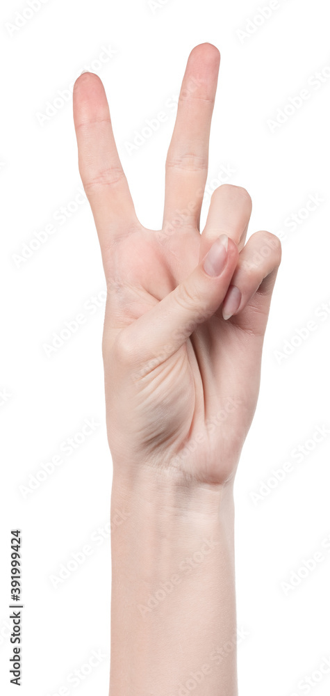 Female caucasian hands isolated white background showing different gestures. woman hands showing gesture holds something or takes, gives, points Female caucasian hands isolated white background showing different gestures. woman hands showing gesture holds something or takes, gives, points