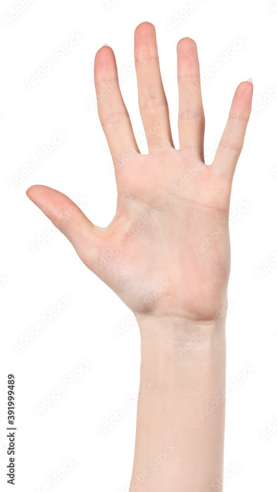 Female caucasian hands isolated white background showing different gestures. woman hands showing gesture holds something or takes, gives, points Female caucasian hands isolated white background showing different gestures. woman hands showing gesture holds something or takes, gives, points