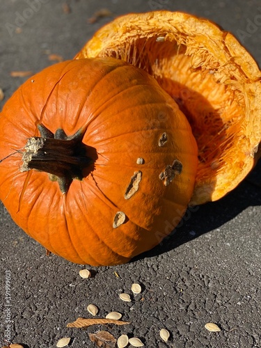 pumpkin