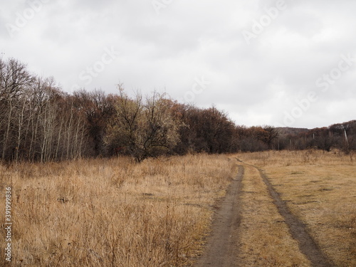 Autumn scenes. A picturesque dirt road in the autumn mixed forest. The hilly terrain was overgrown with withered grass. The road is rolled up by machines taking out the harvest from the field