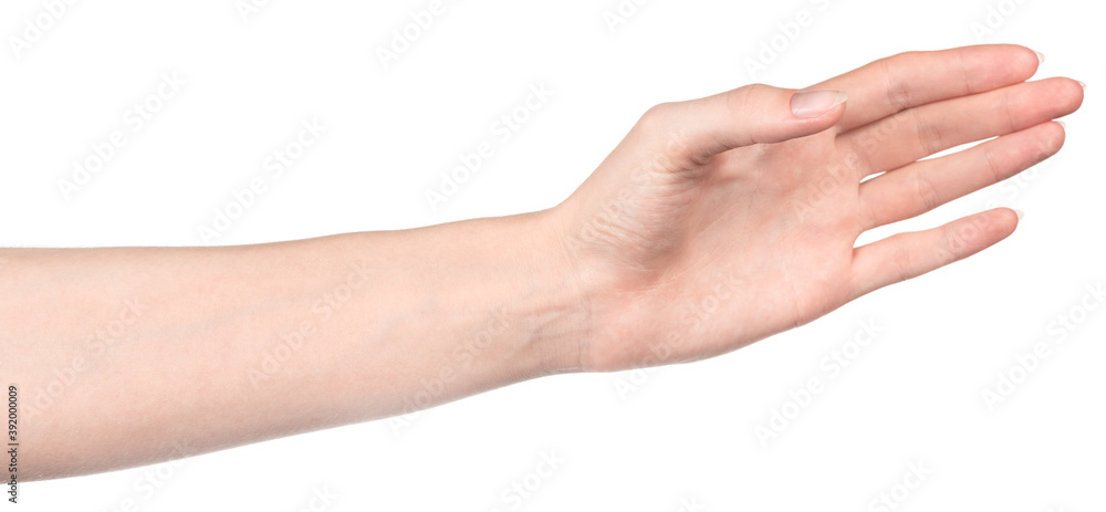 Female caucasian hands isolated white background showing different gestures. woman hands showing gesture holds something or takes, gives, points Female caucasian hands isolated white background showing different gestures. woman hands showing gesture holds something or takes, gives, points