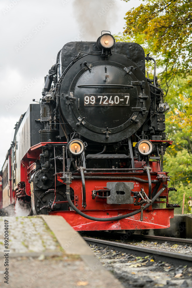 Fototapeta premium The Brockenbahn locomotive of the Harz mountain national park