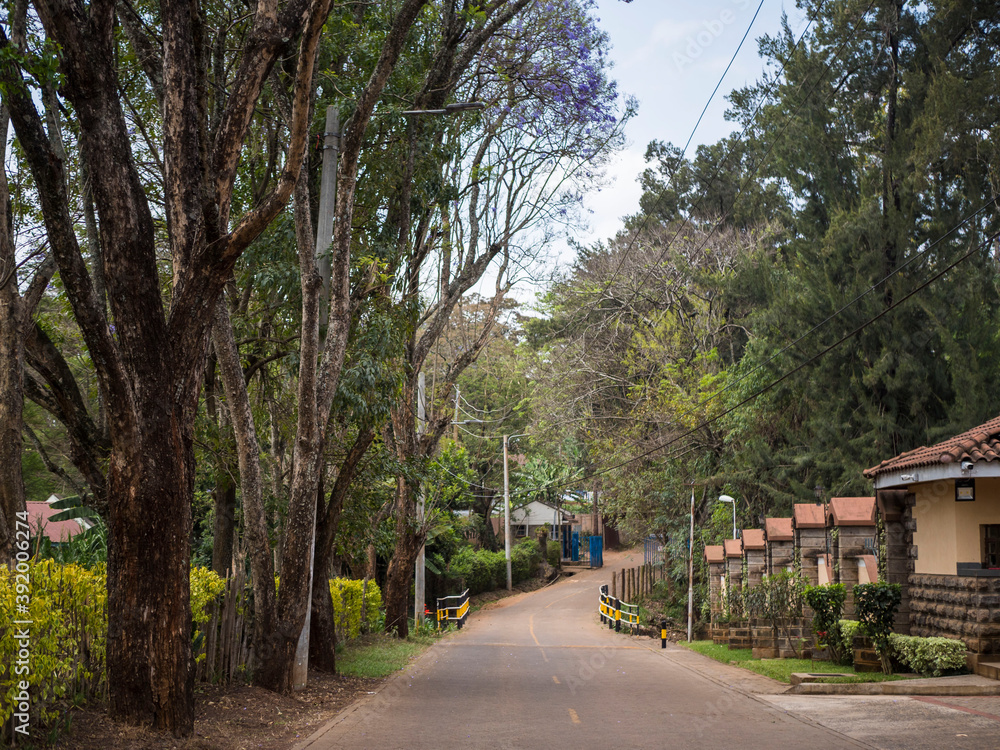 a street in the town