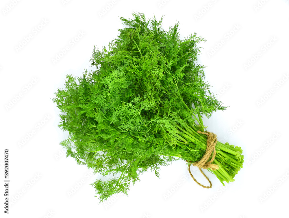 Fototapeta premium Bunch of fresh green dill isolated on white background.