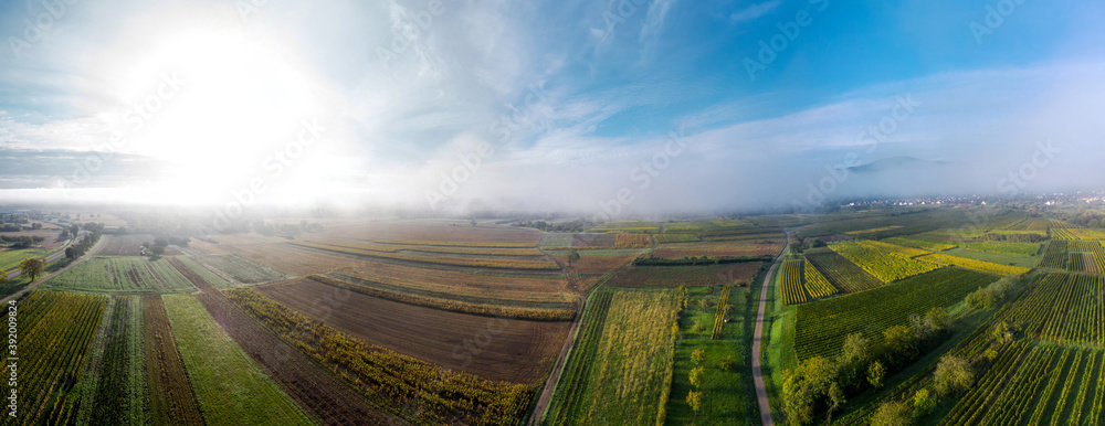 A drone panoramic view of the stunning expanse of the Vosges foothills. Autumn vineyards in the morning fog. A drone panoramic view of the stunning expanse of the Vosges foothills. Autumn vineyards in the morning fog.