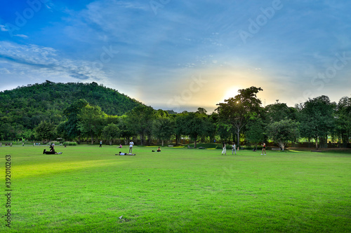 green field in the morning