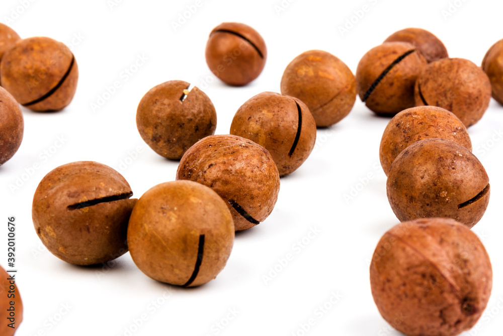 macadam nuts with clipping path on a white isolated background macadam nuts with clipping path on a white isolated background