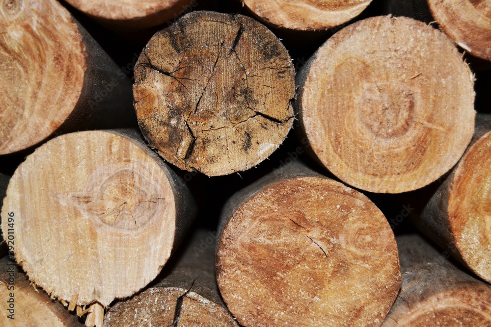 Wood logs for the fireplace Wood logs for the fireplace