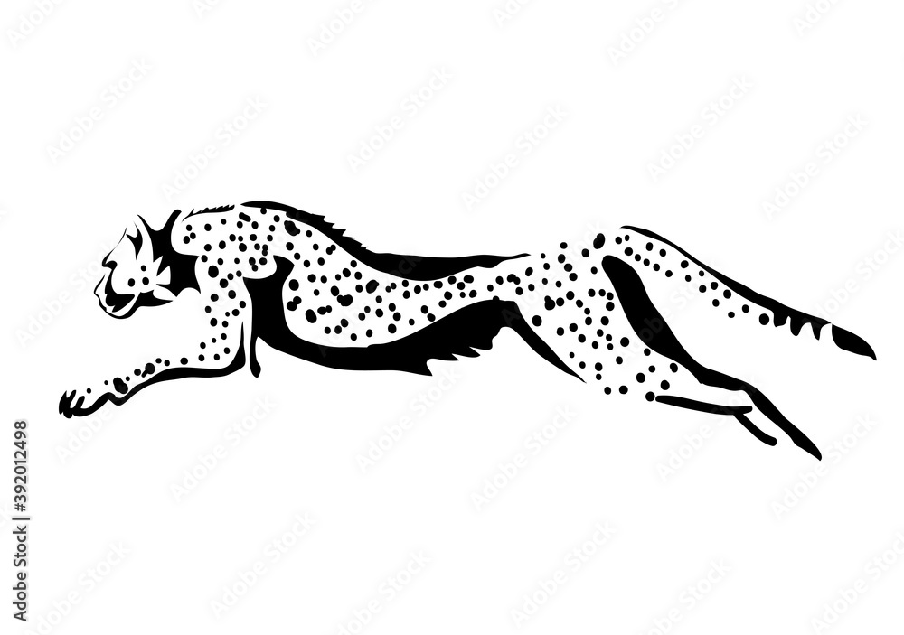 cheetah jumping