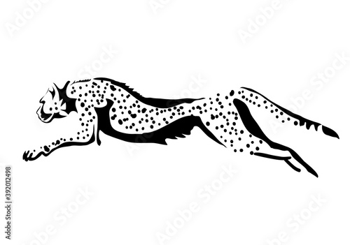cheetah jumping