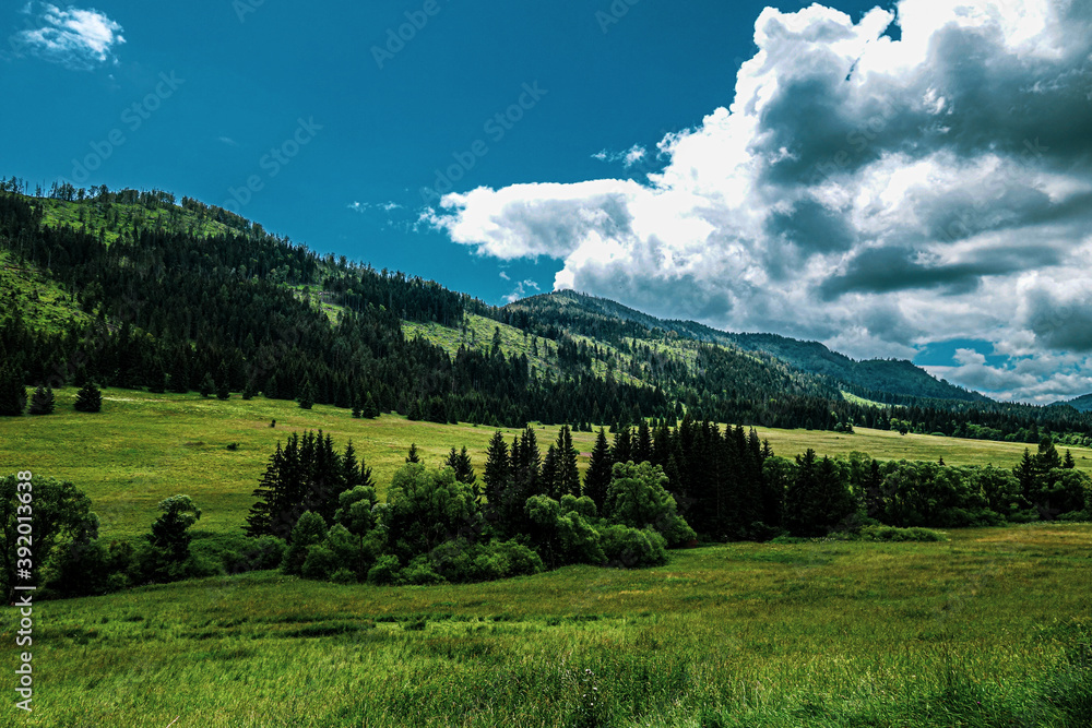 Obraz premium landscape with mountains