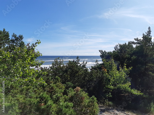 Aussicht Ostsee von Nadelwald und Düne, Hel, Polen