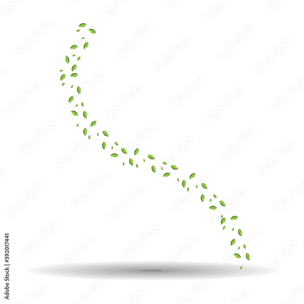 leaf icon leaf icon